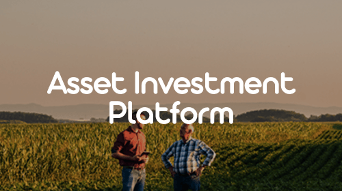 studies asset investment